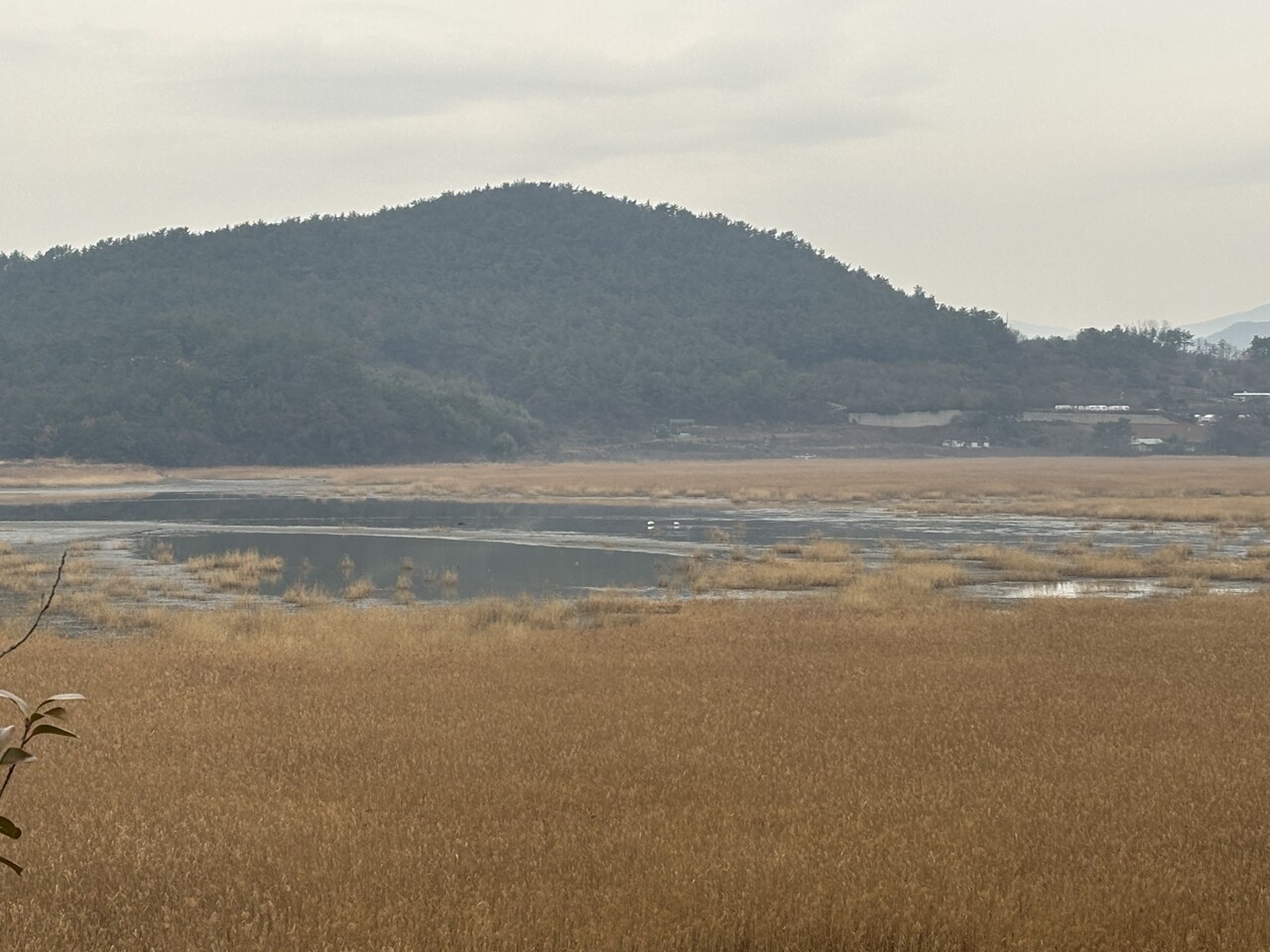 여수시 돌산면 무슬목.