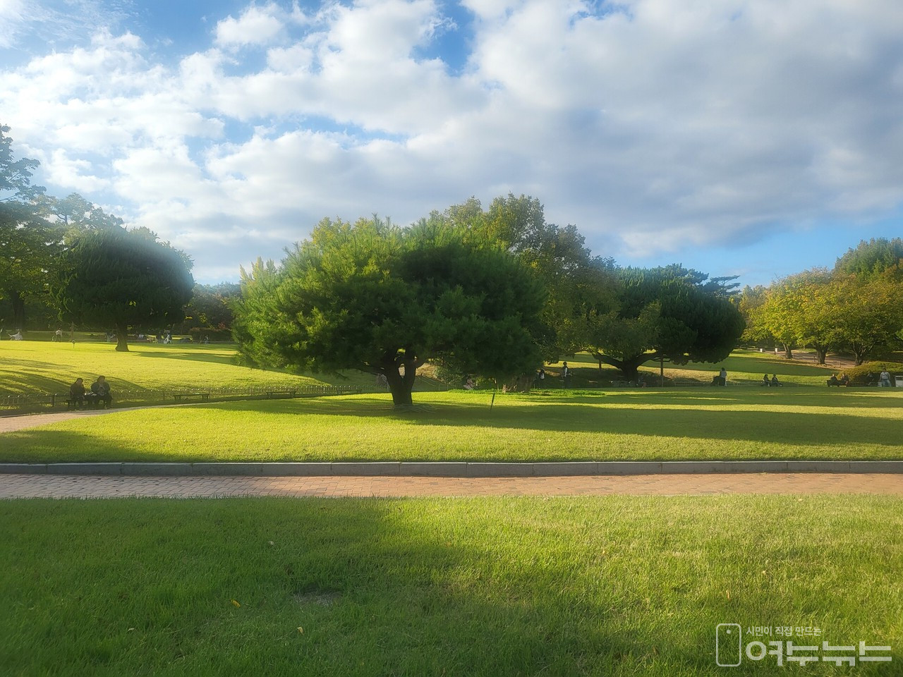 대구 달성공원.
